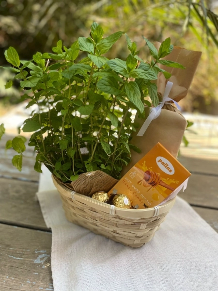 מתנות בעיצוב אישי מוצרים בעיצוב אישי מתנה בהתאמה אישית מתנות מעוצבות מתנות לילדים מתנות לילדים משלוחים מתנות לגני ילדים מתנות לצוות מורים מתנות לצוות החינוכי