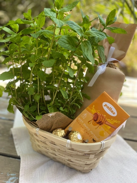 מתנות בעיצוב אישי מוצרים בעיצוב אישי מתנה בהתאמה אישית מתנות מעוצבות מתנות לילדים מתנות לילדים משלוחים מתנות לגני ילדים מתנות לצוות מורים מתנות לצוות החינוכי